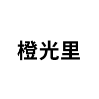 橙光里