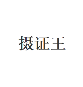 摄证王