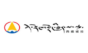 西藏城投