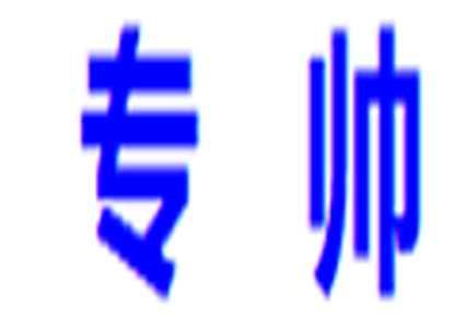 专帅