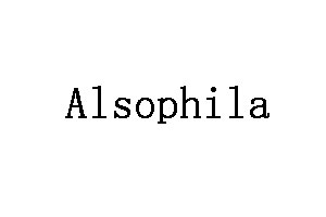 Alsophila