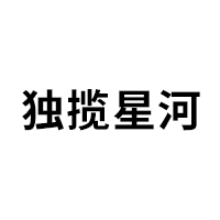 独揽星河