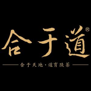 合于道