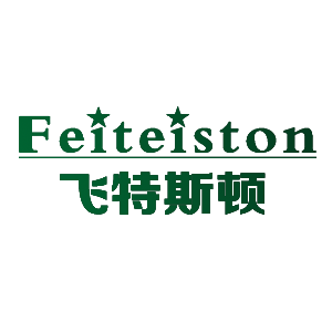 飞特斯顿/Feiteiston
