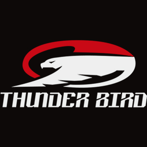 THUNDER BIRD