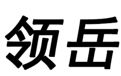 领岳/Led yue