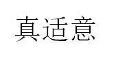 真适意/CNE
