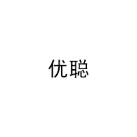 优聪/YOUCONG