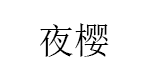 夜樱/YEAIN