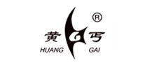 黄丐