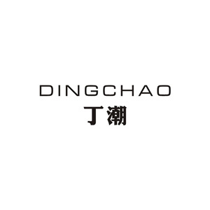 丁潮/DINGCHAO
