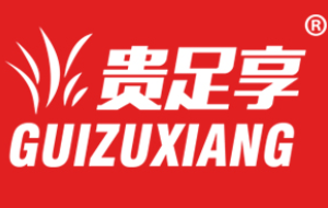 贵足享/guizuxiang