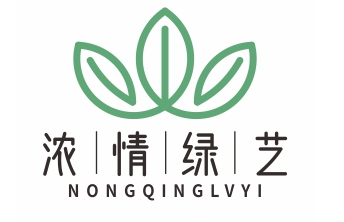 浓情绿艺