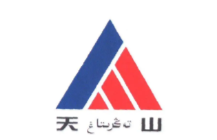 天山股份