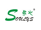 soulys象也