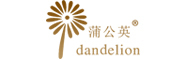 蒲公英/dandelion