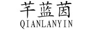 芊蓝茵/QIANLANYIN