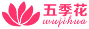 五季花/Wujihua