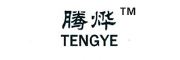 腾烨/TENGYE