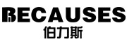 伯力斯/BECAUSES