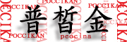 普皙金/POCCIKAN