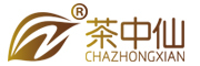 茶中仙/chazhongxian