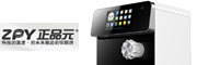 ZPY正品元