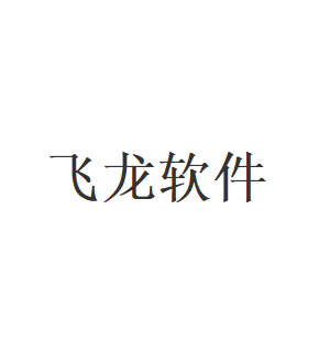 飞龙软件