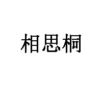 相思桐