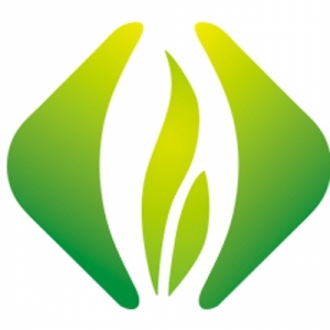 雀顶