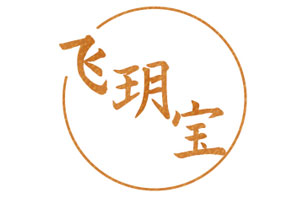 飞玥宝