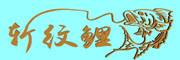 斩纹鲤