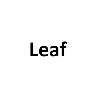 Leaf