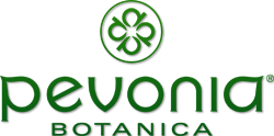 Pevonia Botanica