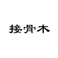 接骨木