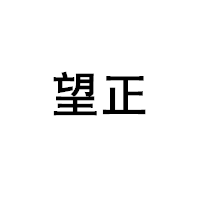 望正
