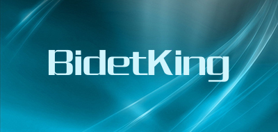 BidetKing