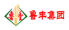 鲁丰