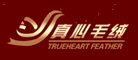 真心