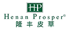 隆丰/HP