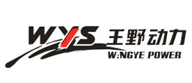 王野wys