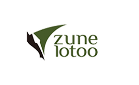 zune lotoo