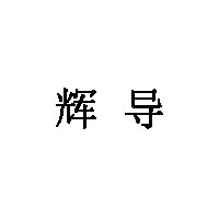辉导