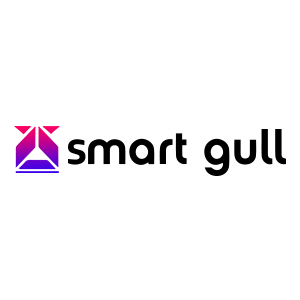 安智鸥/SMART GULL