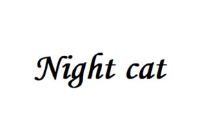 Night cat