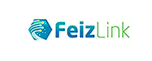 FEIZLINK
