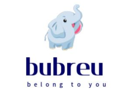 bubreur
