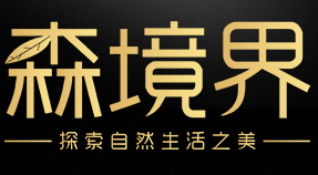 森境界/SENJINGJIE