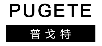 PUGETE GT