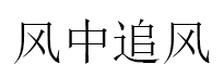 风中追风